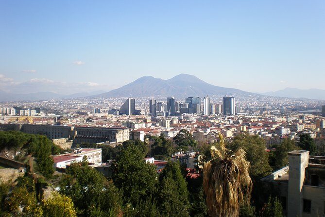 Mt Vesuvius Half-Day Trip from Naples - Coach ride through the Vesuvius National Park area and Torre del Greco