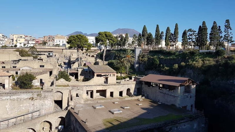 Naples: Herculaneum and Vesuvius Day Trip - Key Things to Know Before You Go