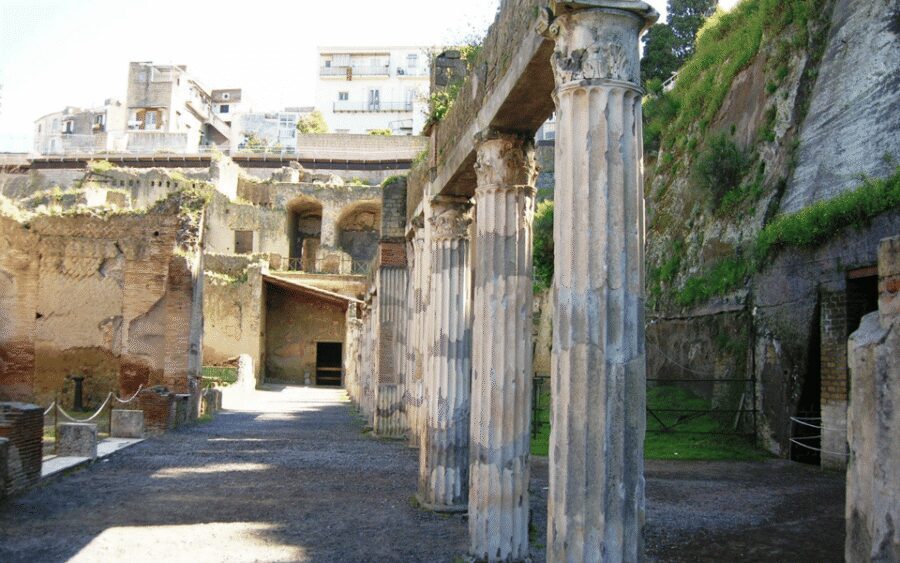 Naples: Herculaneum Entry Ticket with Digital Audio Guide - The digital audio guide: make it work before you arrive