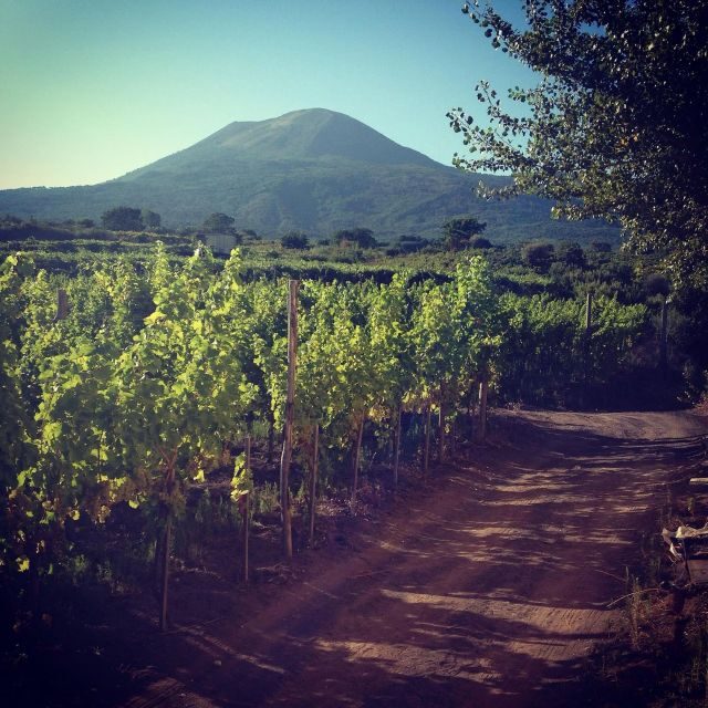 Naples: Mount Vesuvius Vineyard Tour w/ Lunch & Wine Tasting - Who Should Book This Tour (and Who Might Want Something Else)