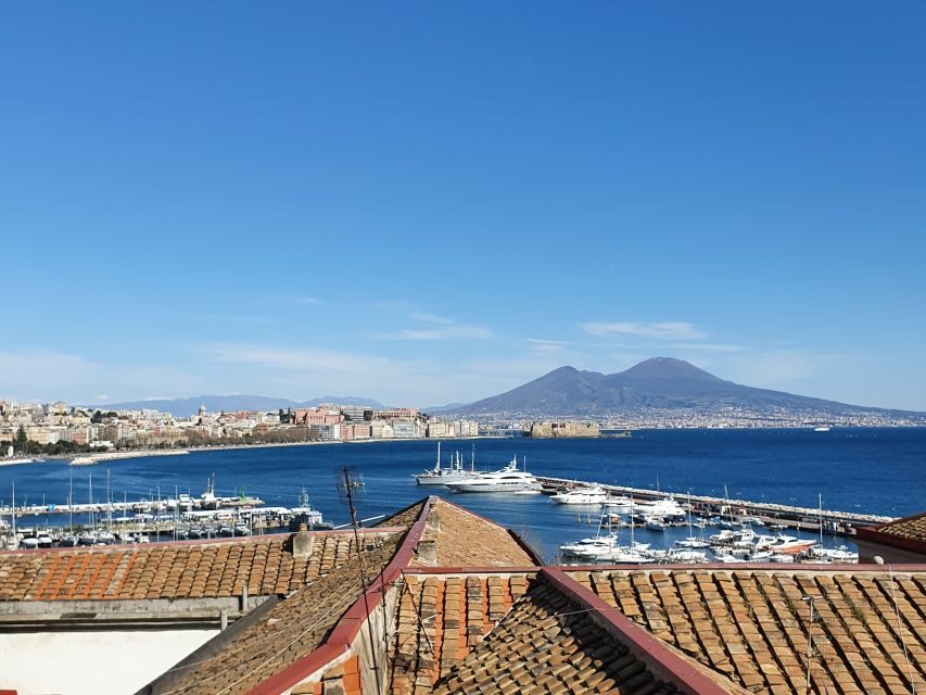 Naples: Naples, Pompeii, and Vesuvius Full-Day Tour - Lunch near the action: pizza and a drink, with limited choices
