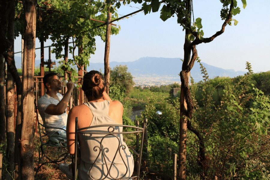 Naples: Pompeii and Herculaneum Tour with Tickets and Lunch - Key things that make this tour worth your time