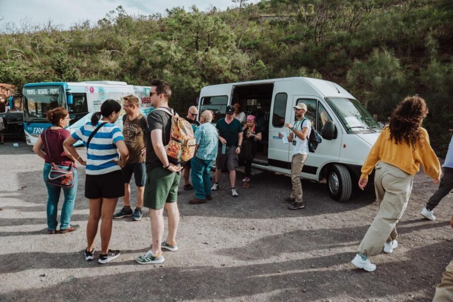 Naples: Pompeii and Mount Vesuvius Entry Tickets and Tour - How the Day Is Built: 7 Hours That Don’t Waste Time