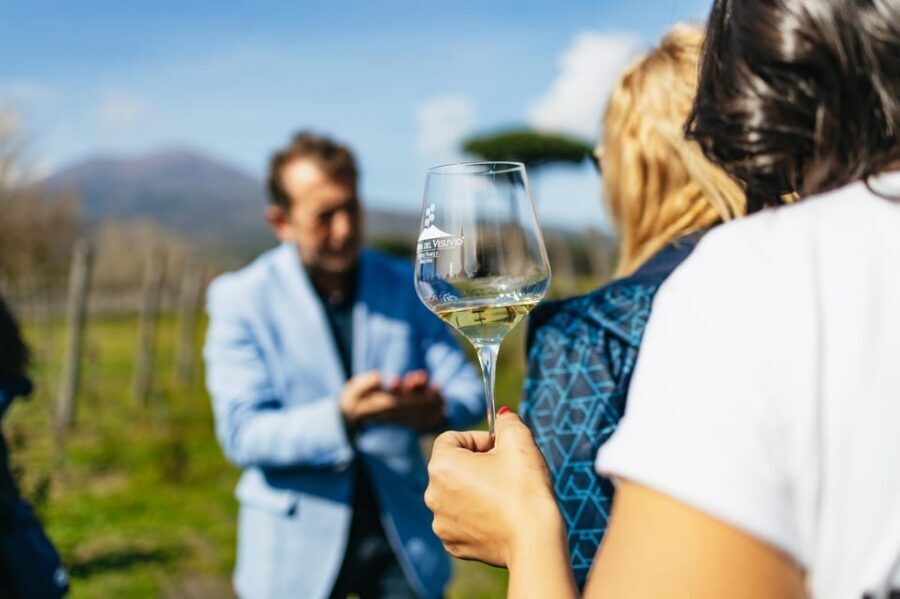 Naples: Pompeii and Mt. Vesuvius with Lunch and Wine Tasting - Pompeii: skip the line, then walk with an expert
