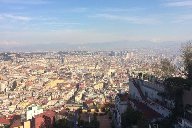 Naples, Pompeii and Vesuvius full day tour from Naples - Transportation: Shared Minibus, Air-Conditioned Comfort, and Naples Traffic