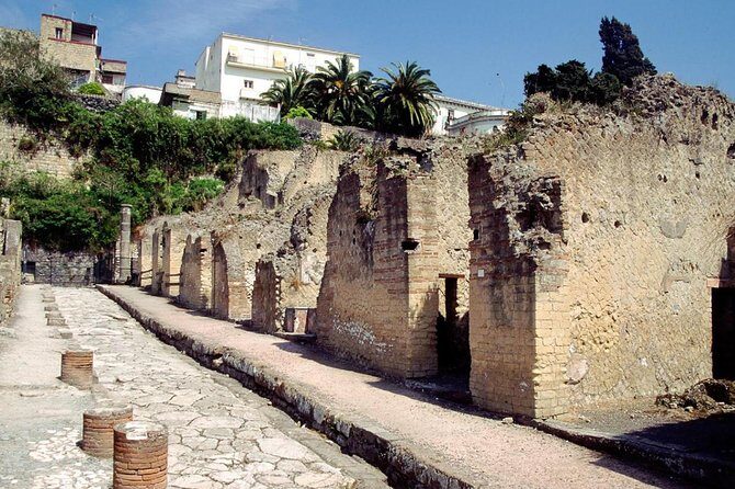 Naples: Pompeii, Herculaneum, and Vesuvius Tour by Minivan - Price and what you’re actually paying for