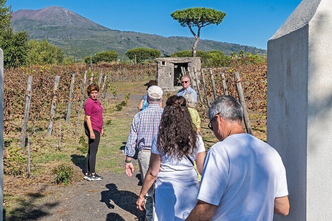 Naples: Tour of Mt Vesuvius and Pompeii w/ Lunch & Wine tasting - Who This Tour Fits Best (and Who Might Want Another Option)