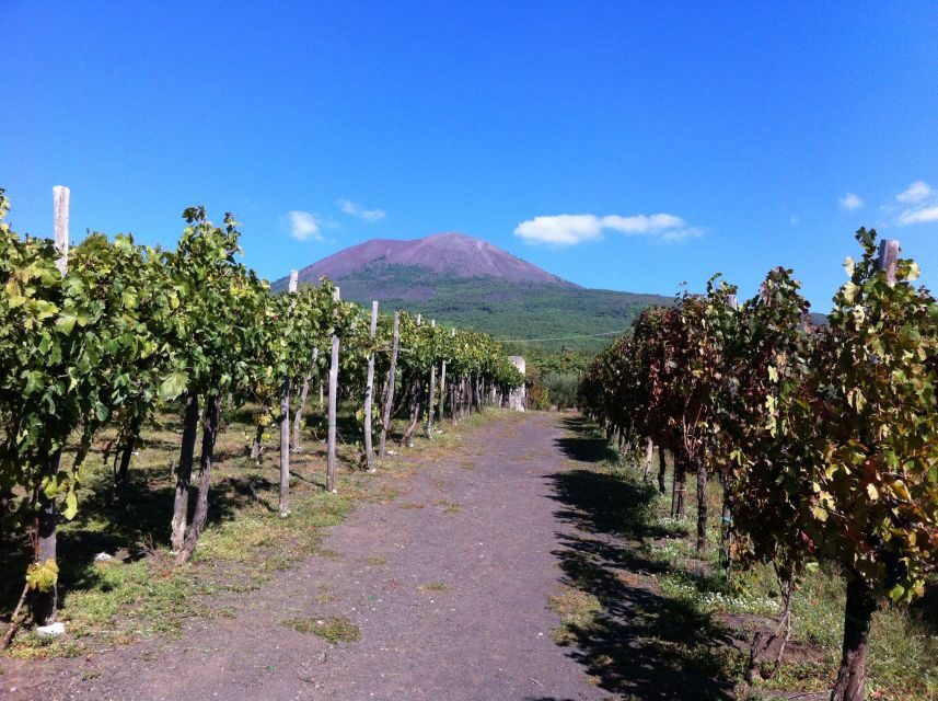 Naples: Vesuvius Half-Day Trip with Lunch and Wine Tasting - Skip-the-line entry, plus help at the ticket office