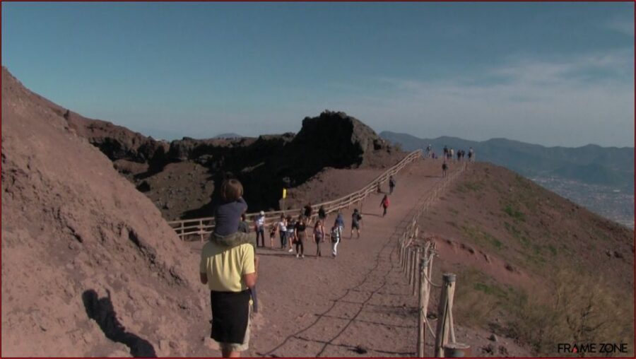 Naples: Vesuvius Half-Day Trip with Lunch and Wine Tasting - Who this half-day trip fits best