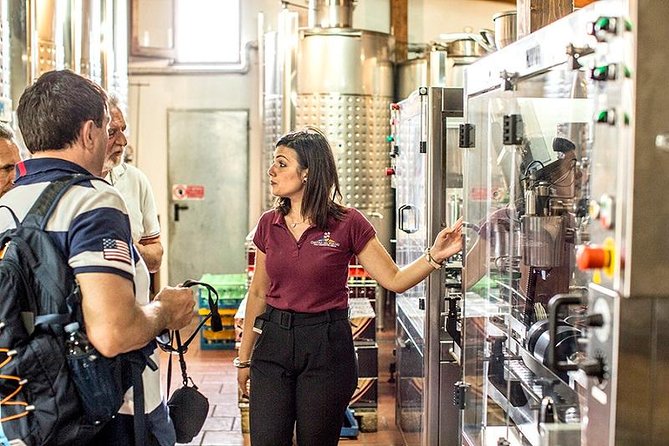 Organic Wine Tasting & Lunch on Vesuvius with Transfer from Sorrento Peninsula - Mt. Vesuvius Organic Tasting: What This 4-Hour Experience Really Delivers