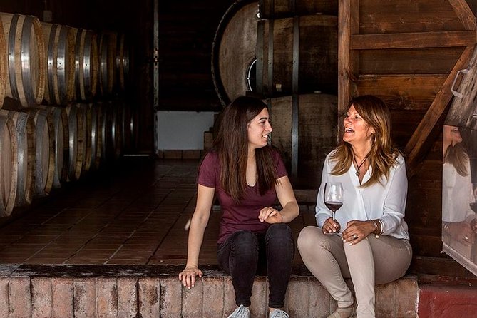 Organic Wine Tasting & Lunch on Vesuvius with Transfer from Sorrento Peninsula - Price and Value: Is $372.32 Worth It?