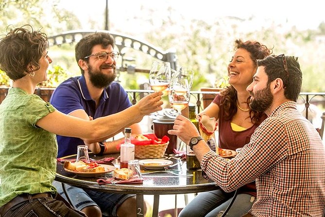Organic Wine Tasting & Lunch on Vesuvius with Transfer from Sorrento Peninsula - Who Should Book This Private Vesuvius Wine and Lunch Trip