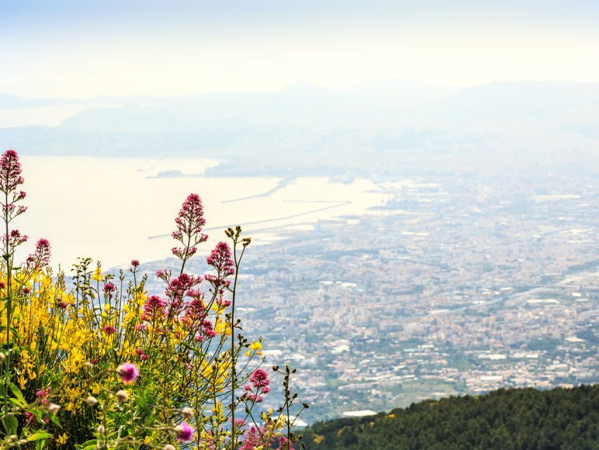 Pompei: Mount Vesuvius and Pompeii with Round-Trip Transfer - Stop 3: Pompeii Archaeological Park with an Audio Guide