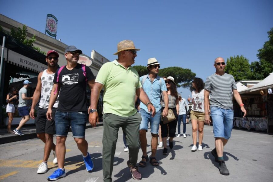 Pompei: Private tour of Pompei and Vesuvius from Sorrento - From Sorrento Pickup to the Pompeii Start Point