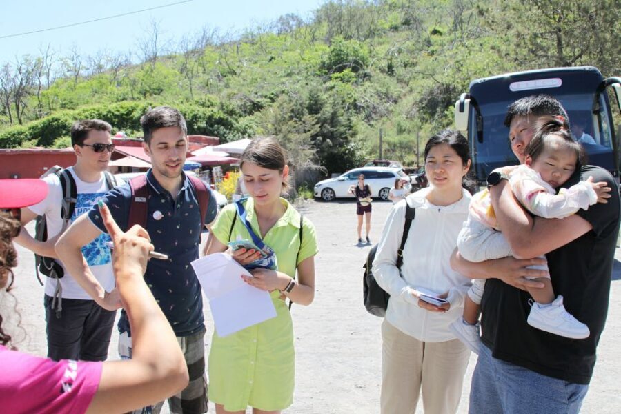 Pompei: Vesuvius and Herculaneum Tour - What to Bring (and What to Skip) for a Smooth Day