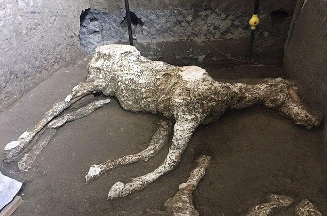Pompeii and Herculaneum Day Tour - with Lunch from Naples - Value and Price: What $120.93 Covers (and What You Still Need)