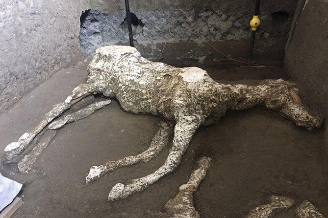 Pompeii and Herculaneum Day Tour - with Lunch from Naples - Who This Tour Fits Best (and Who Should Skip It)