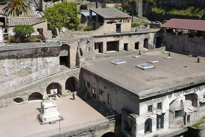 Pompeii and Herculaneum Private Tour - Logistics That Can Trip You Up: Tickets, Timing, and Expectations