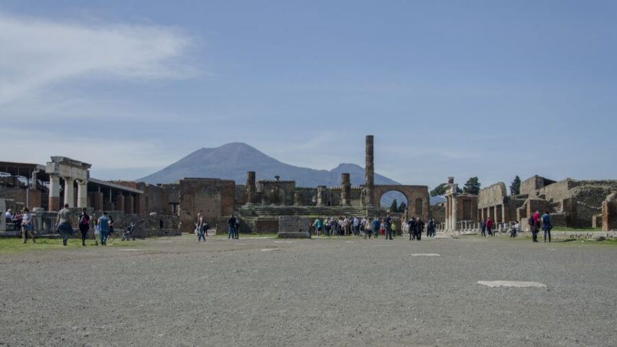 Pompeii and Herculaneum: Private Tour from Naples - Why a private Pompeii and Herculaneum tour from Naples makes sense