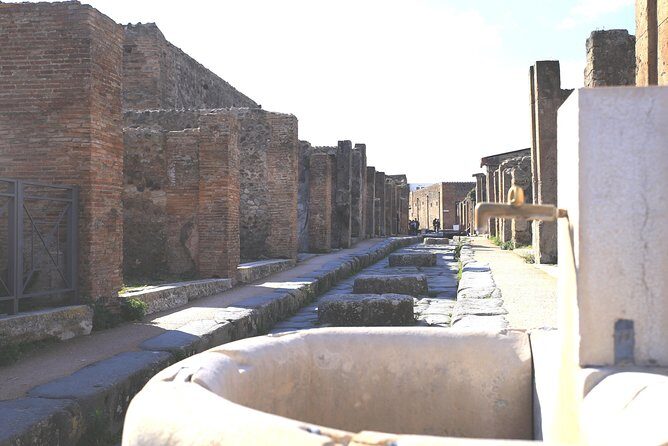 Pompeii and Herculaneum Private Tour with Native Guide and Skip the Line Tickets - Price and value: what $431.33 really covers