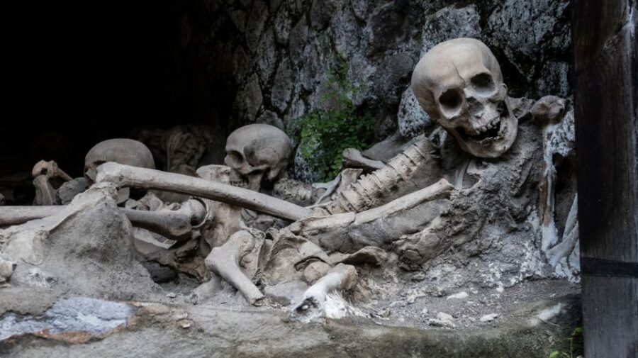 Pompeii and Herculaneum: Private Tour with Transportation - Tickets and entrance fees: where this tour makes you feel less stressed