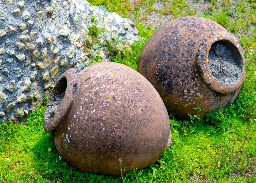 Pompeii and Herculaneum: Private Tour with Transportation - Who this Pompeii and Herculaneum private tour suits best