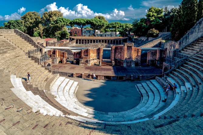 Pompeii and Herculaneum Ruins Private Tour - Private Door-to-Door From Naples: What You Gain With This 6.5-Hour Plan