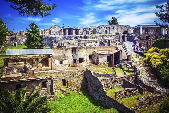 Pompeii and Herculaneum Ruins Private Tour - Onboard Commentary and Driver Support: Faster Confidence at Every Stop