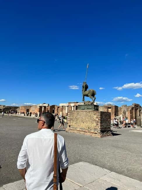 Pompeii and Vesuvius Cellars: Tour with Pick-Up in Positano - Key Points That Matter Before You Go
