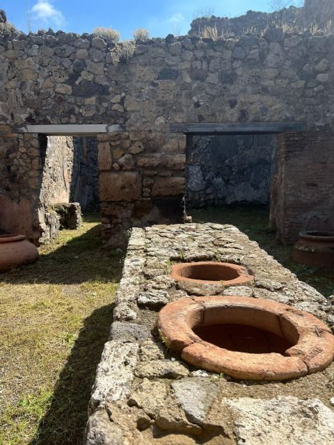 Pompeii and Vesuvius Cellars: Tour with Pick-Up in Positano - Who This Tour Suits Best (And Who Should Rethink It)
