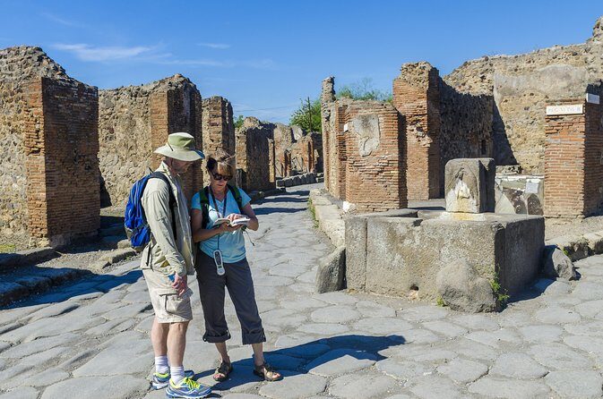 Pompeii and Vesuvius Full Day Private Shore Excursion - Lunch on your own near Pompeii or on the volcano slopes
