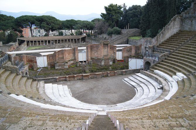 Pompeii and Vesuvius Small Group Tour From Naples with Pizza - Price and what $138.78 buys you