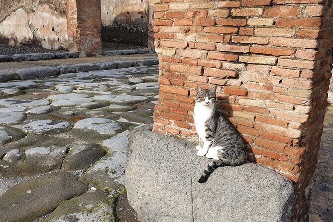 Pompeii and Vesuvius Tour with Pickup - Pompeii Archeological Park: what the stops actually get you