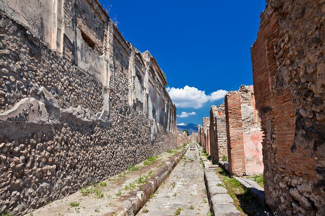 Pompeii and Vesuvius Wine Tasting Private Tour - Pompeii, Vesuvius, and wine: why this day trip works