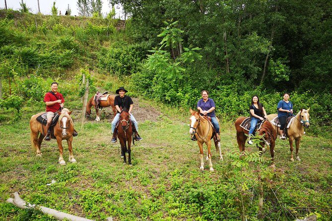 Pompeii Guided Tour & Horse Riding on Vesuvius with Lunch - Horseback riding in the Vesuvius National Park: what you’re really signing up for
