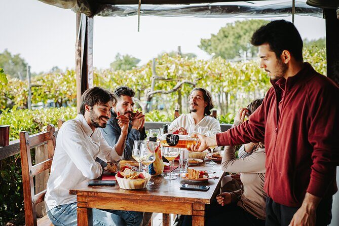 Pompeii Guided Tour & Lunch with Superior Wine Tasting - Group Size, Pickup, and the Pace: How the Day Stays Manageable