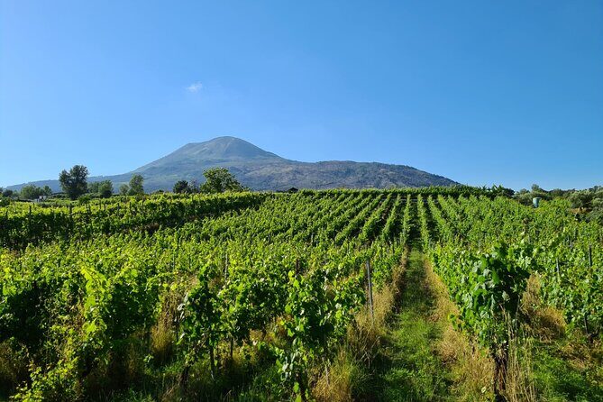 Pompeii Guided Tour & Lunch with Superior Wine Tasting - Who This Tour Suits Best (and Who Should Skip It)