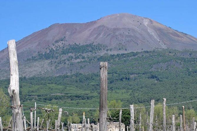 Pompeii, Herculaneum and Vesuvius Private Guided Tour - Why this Pompeii–Herculaneum–Vesuvius day is hard to beat