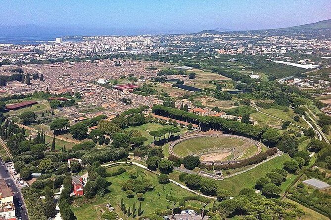 Pompeii, Herculaneum and Vesuvius Private Guided Tour - Mt. Vesuvius: trailhead drop-off and the views people talk about