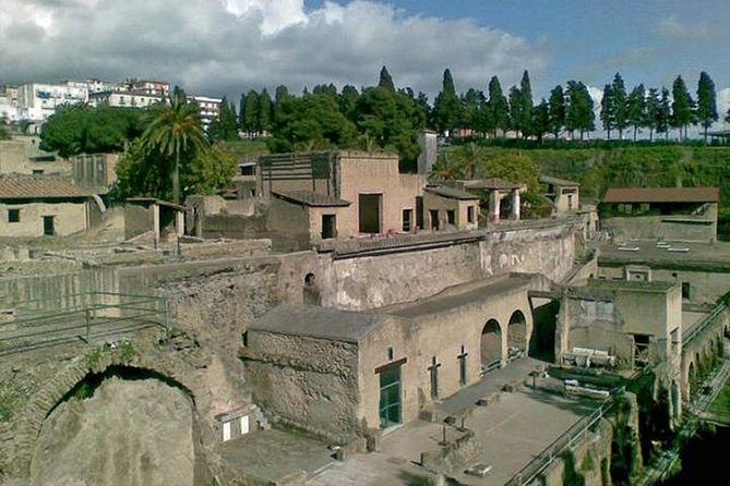Pompeii, Herculaneum and Vesuvius Private Guided Tour - Price and Logistics: what you pay for (and what you don’t)