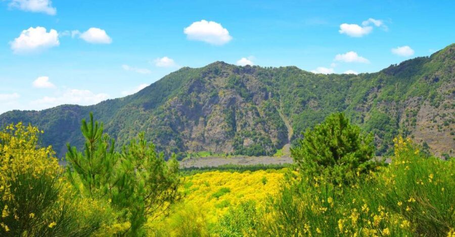 Pompeii, Herculaneum and Vesuvius Tour - Price and logistics: what $141.61 really covers
