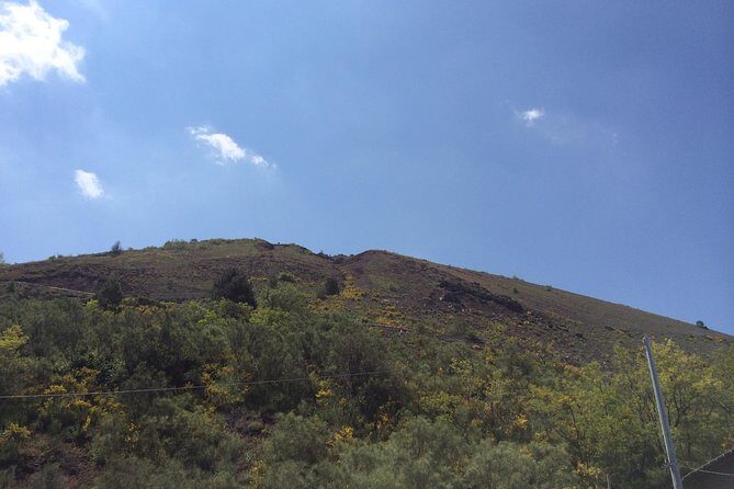 Pompeii, Herculaneum & Mt. Vesuvius Guided Tour from Sorrento - Pompeii and Herculaneum with a private guide: the real value