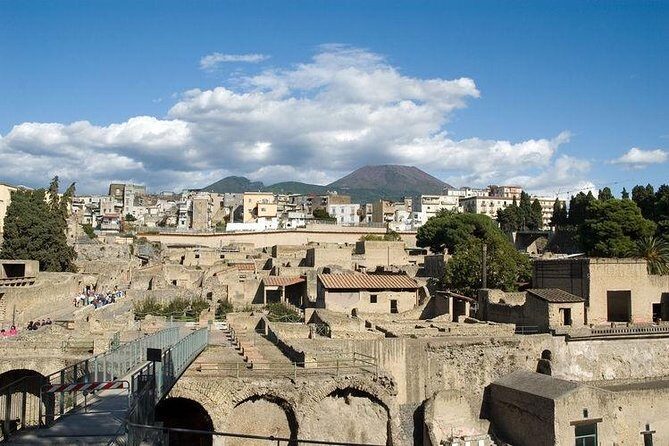 Pompeii, Herculaneum & Mt. Vesuvius Guided Tour from Sorrento - Who should book this Pompeii, Herculaneum and Vesuvius day trip?