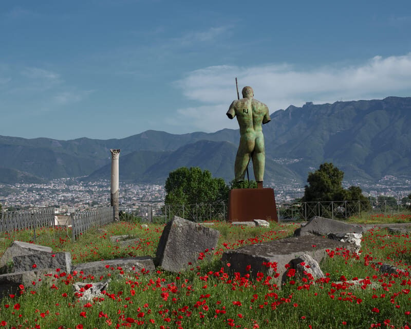 Pompeii & Herculaneum: Skip-the-line & Digital Guide App - Key highlights worth planning around
