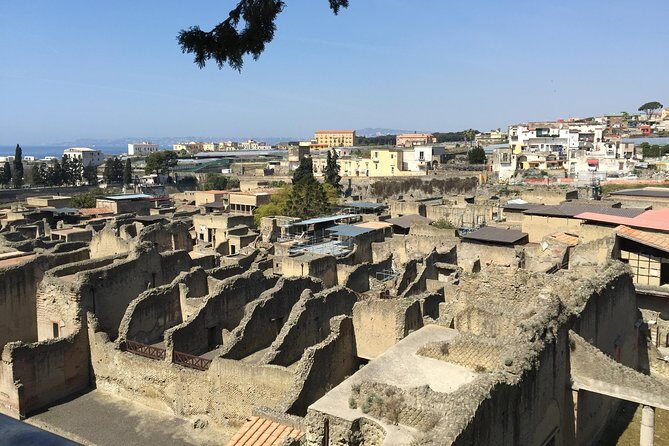 Pompeii-Herculaneum-Wine tour from Sorrento, with licensed guide included - Herculaneum: 1 hour 45 minutes, and a different kind of tragedy