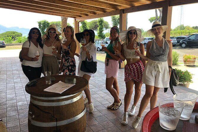Pompeii, Herculaneum & Wine Tour, with Licensed Guide included - Timing, comfort, and the real-world walking you’ll face