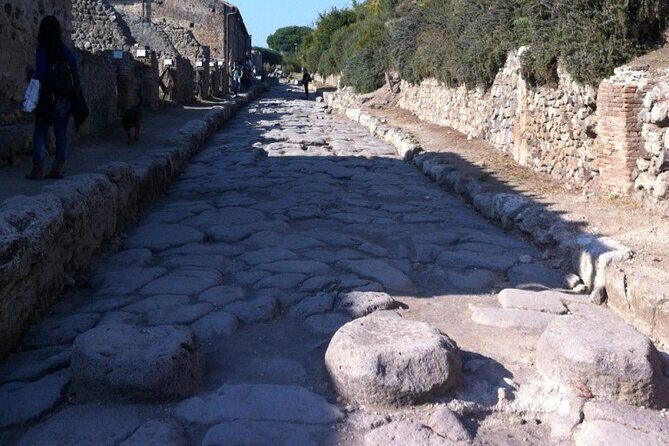Pompeii, Herculaneum & Wine Tour, with Licensed Guide included - Who this Pompeii and wine day suits best
