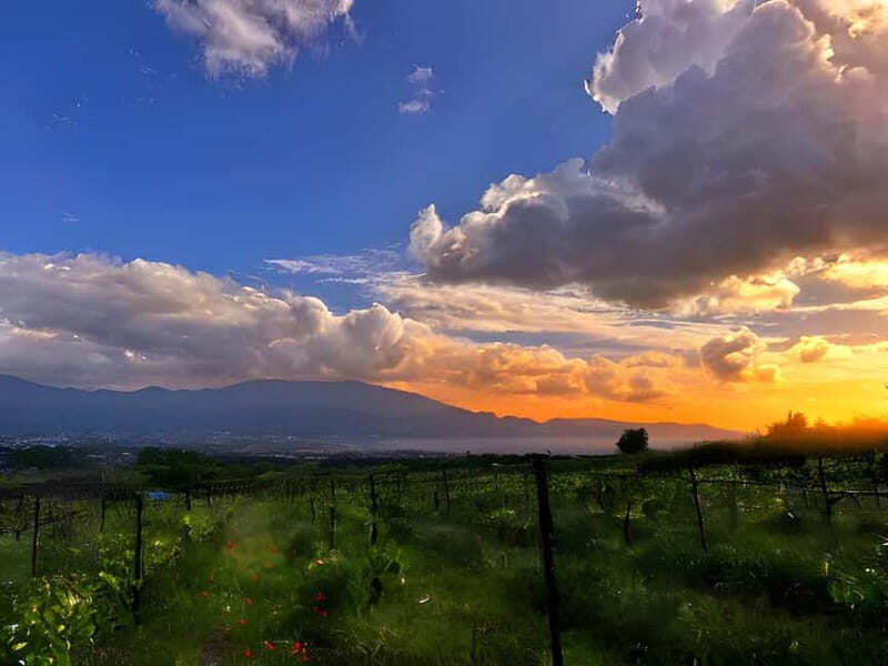 Pompeii: Mount Vesuvius Night Horseback Ride and Italian BBQ - Mount Vesuvius by night: the guided horseback ride through vineyards