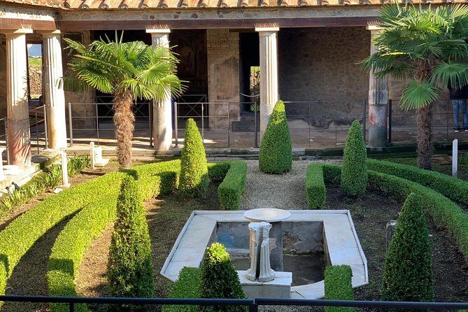 Pompeii & Mount Vesuvius Private Tour with Guide - Pace and timing: how to get the most from the 8-hour format
