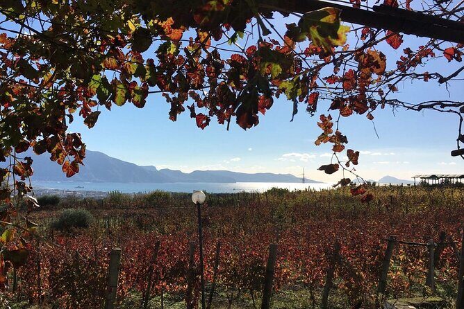 Pompeii, Mt Vesuvius and Wine Tour - Mt. Vesuvius hike: what the crater walk feels like in real life